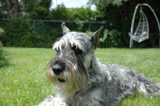 Breeze enjoying spring